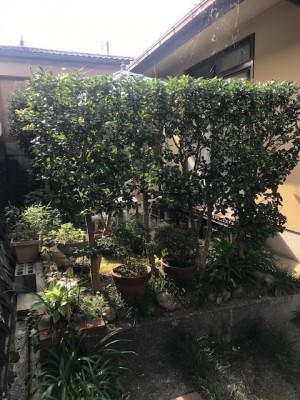 K様邸