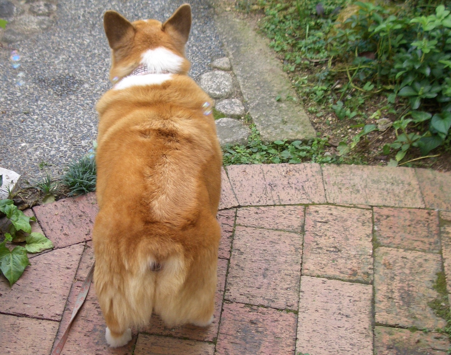寒くなりました(>_<)
