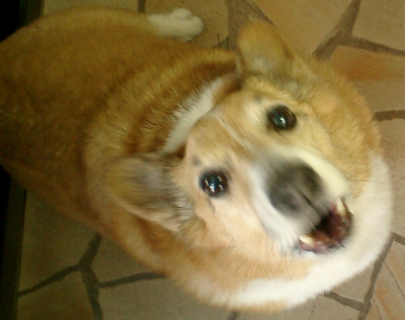 わたくしごと。