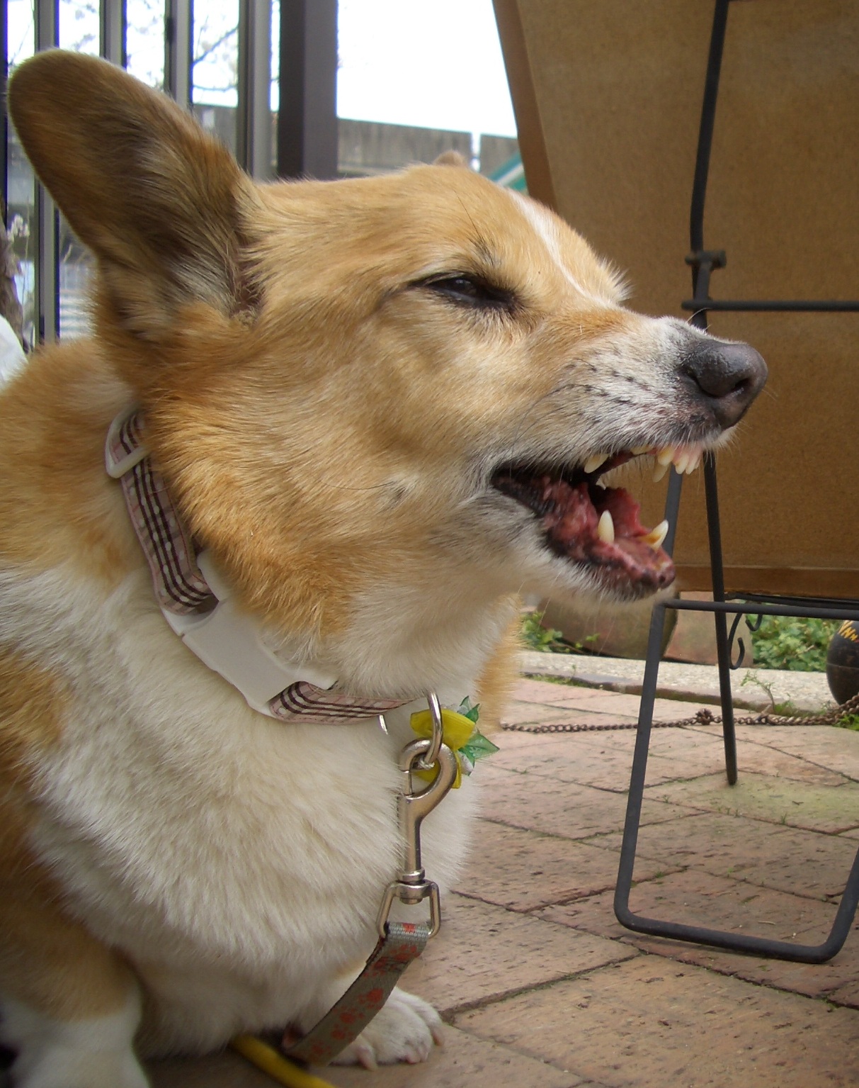 可愛くナチュラルに。