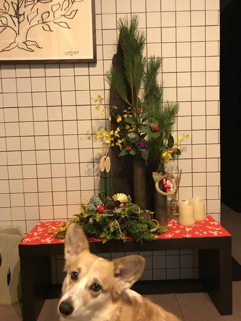 明けましておめでとうございます♪