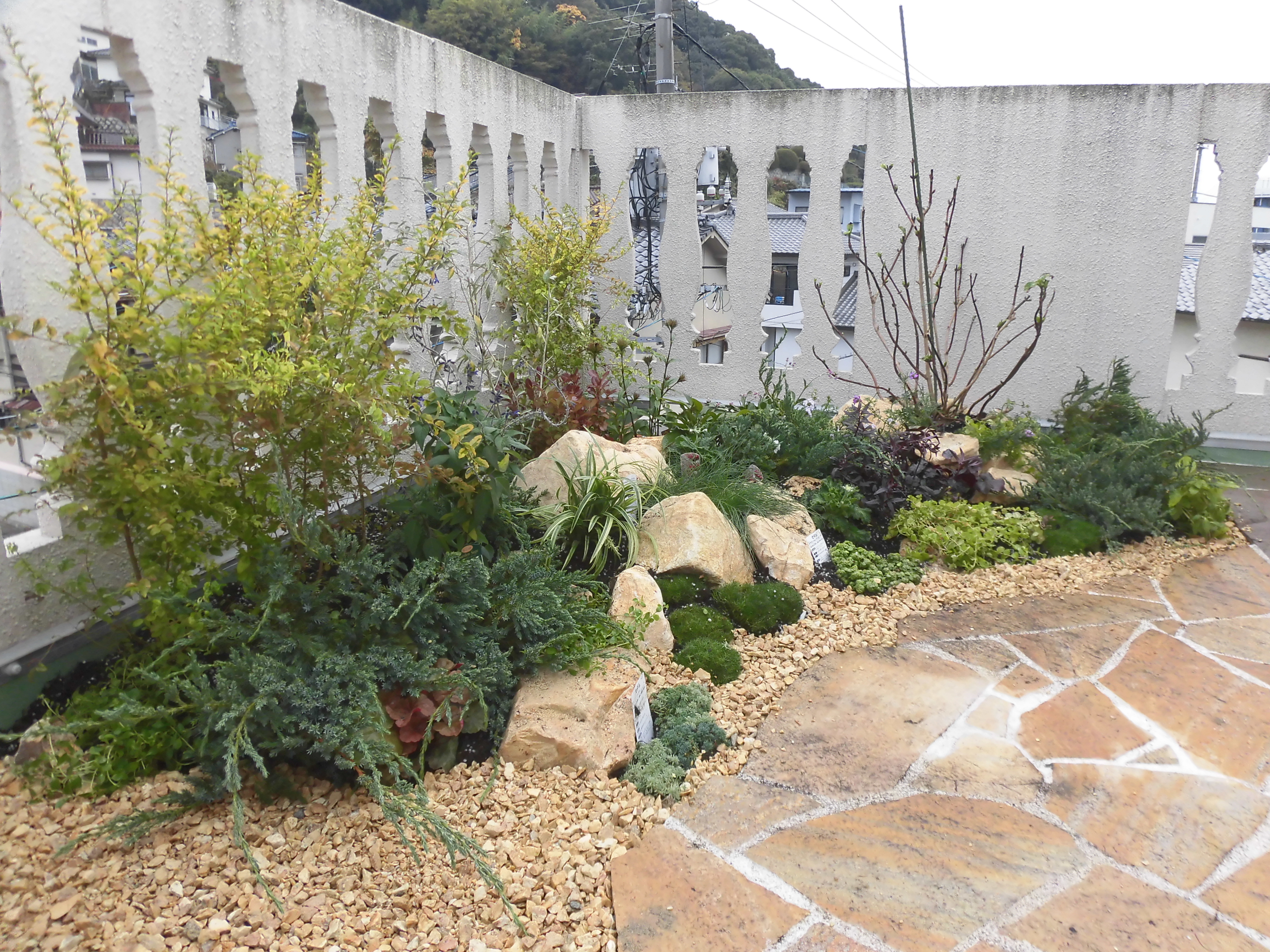 屋上ガーデンに植栽をしました！　広島市南区　Ｎ様邸　リフォーム工事
