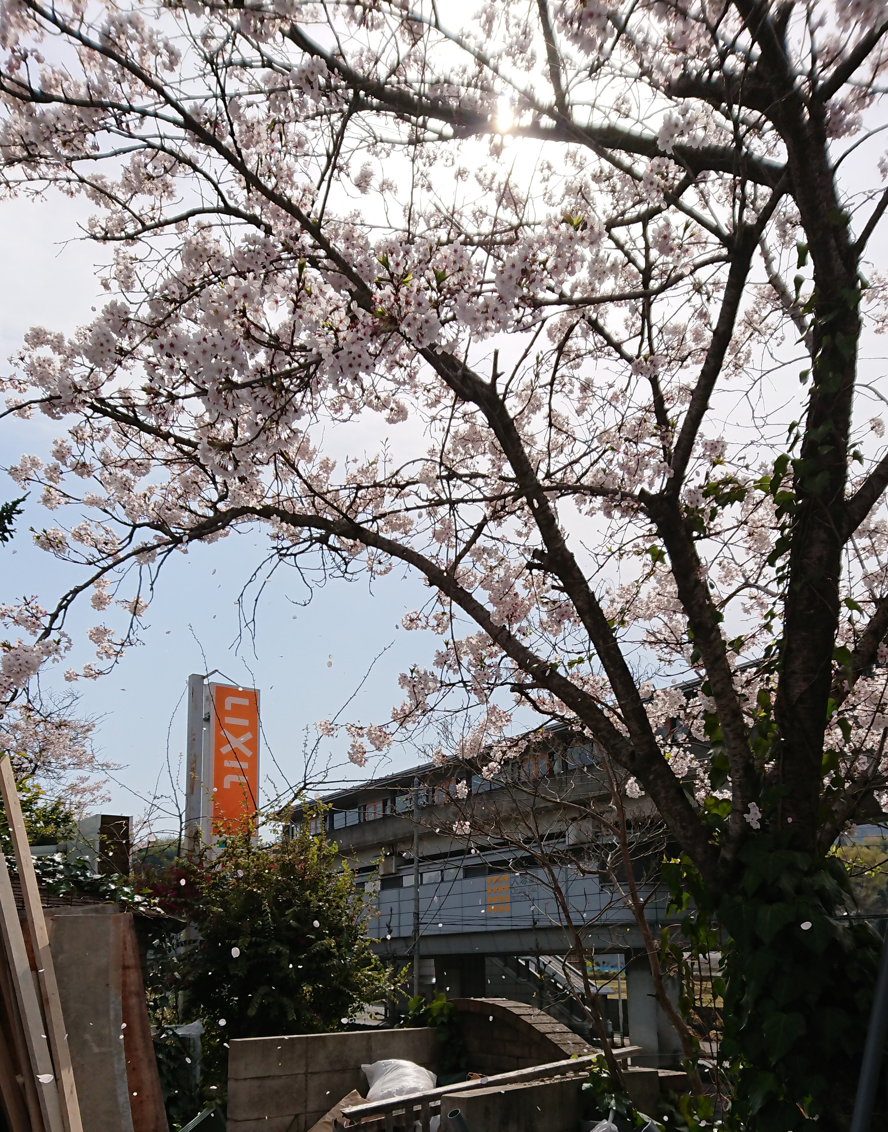 ４月　モダンハウジングの春