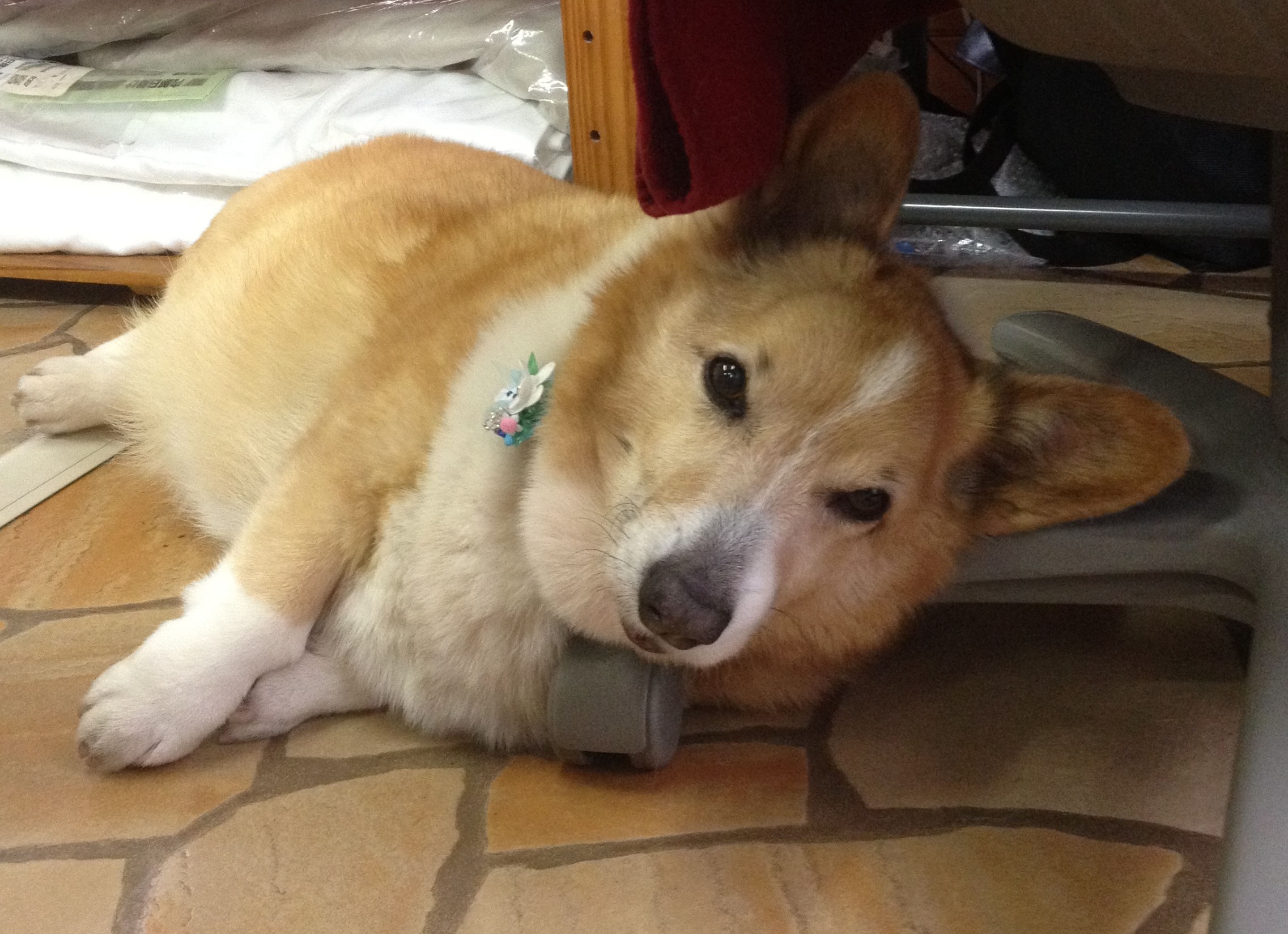 暖→寒。