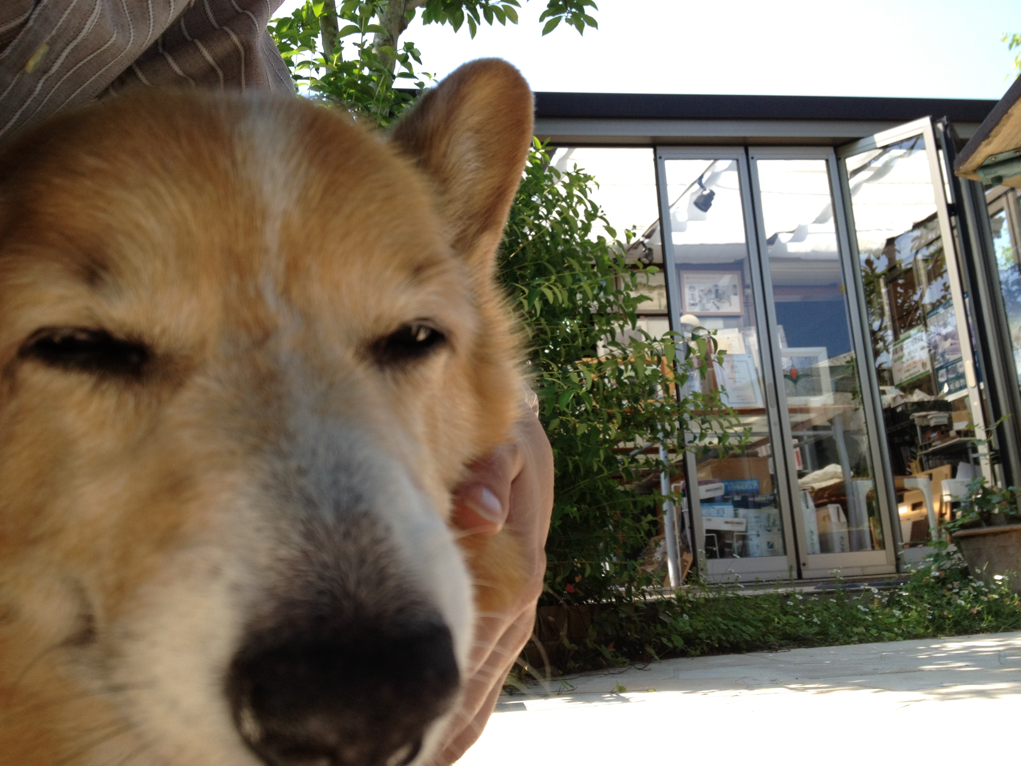 杉板のメンテナンスをしました！