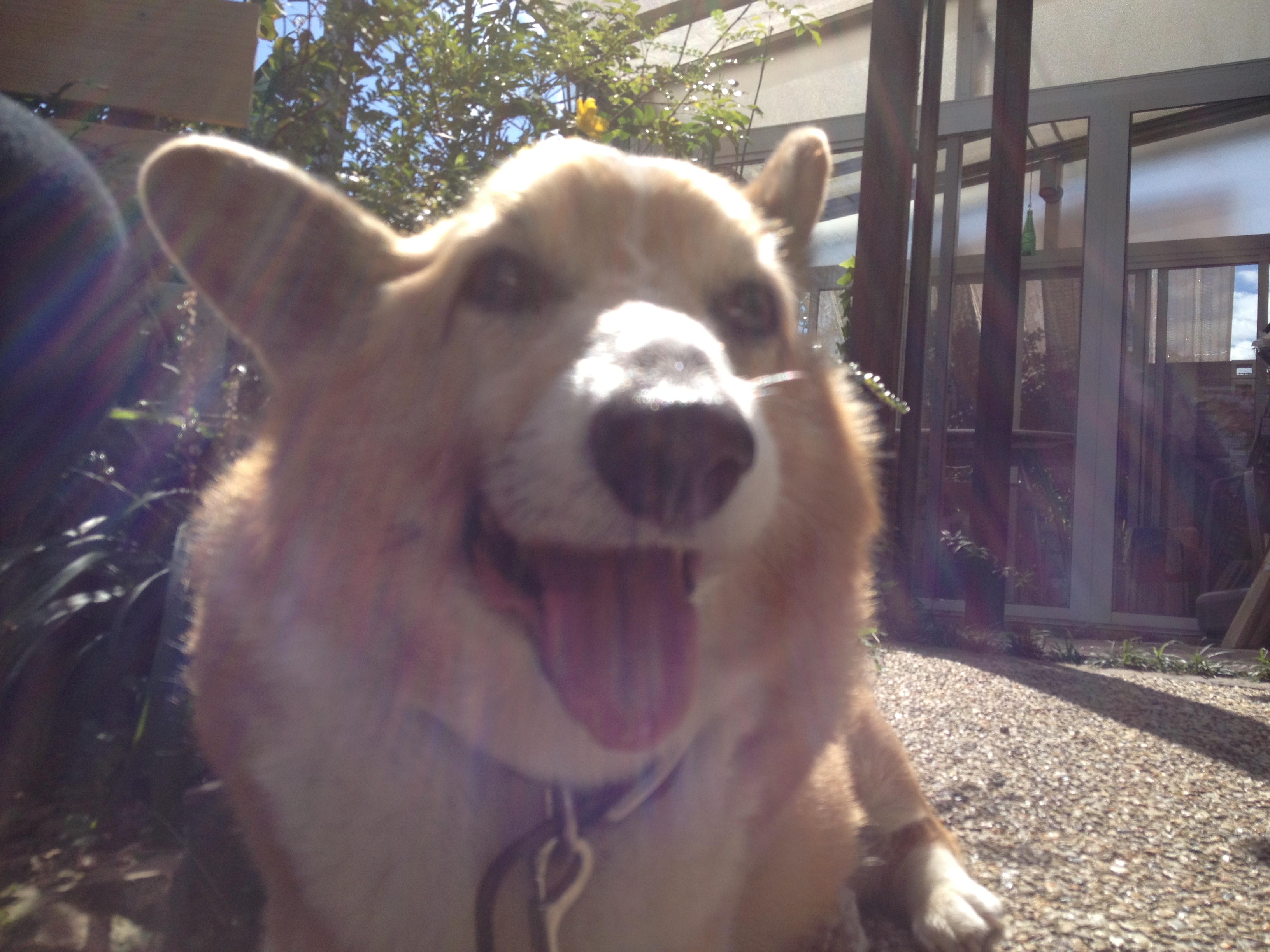 秋の訪れです♪