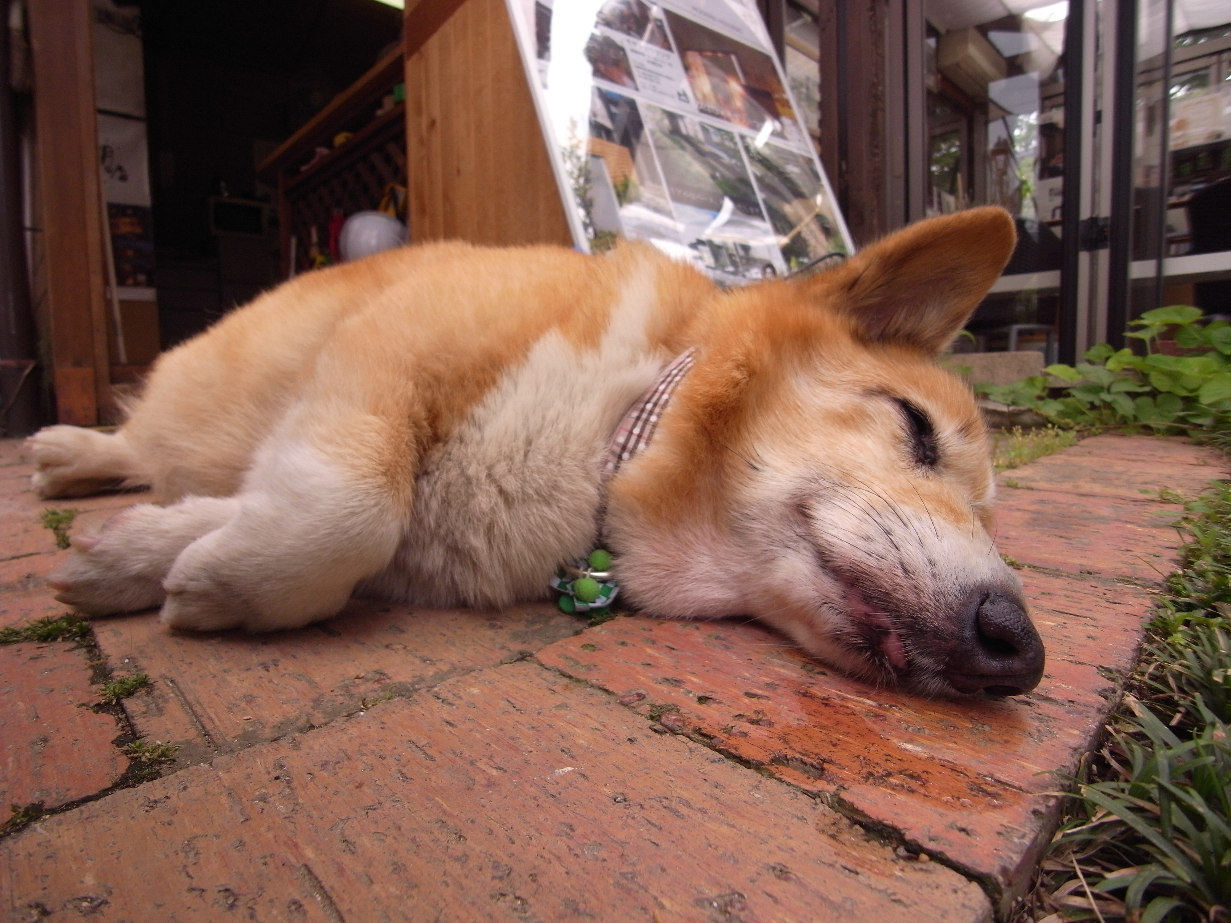 色いろイロ。