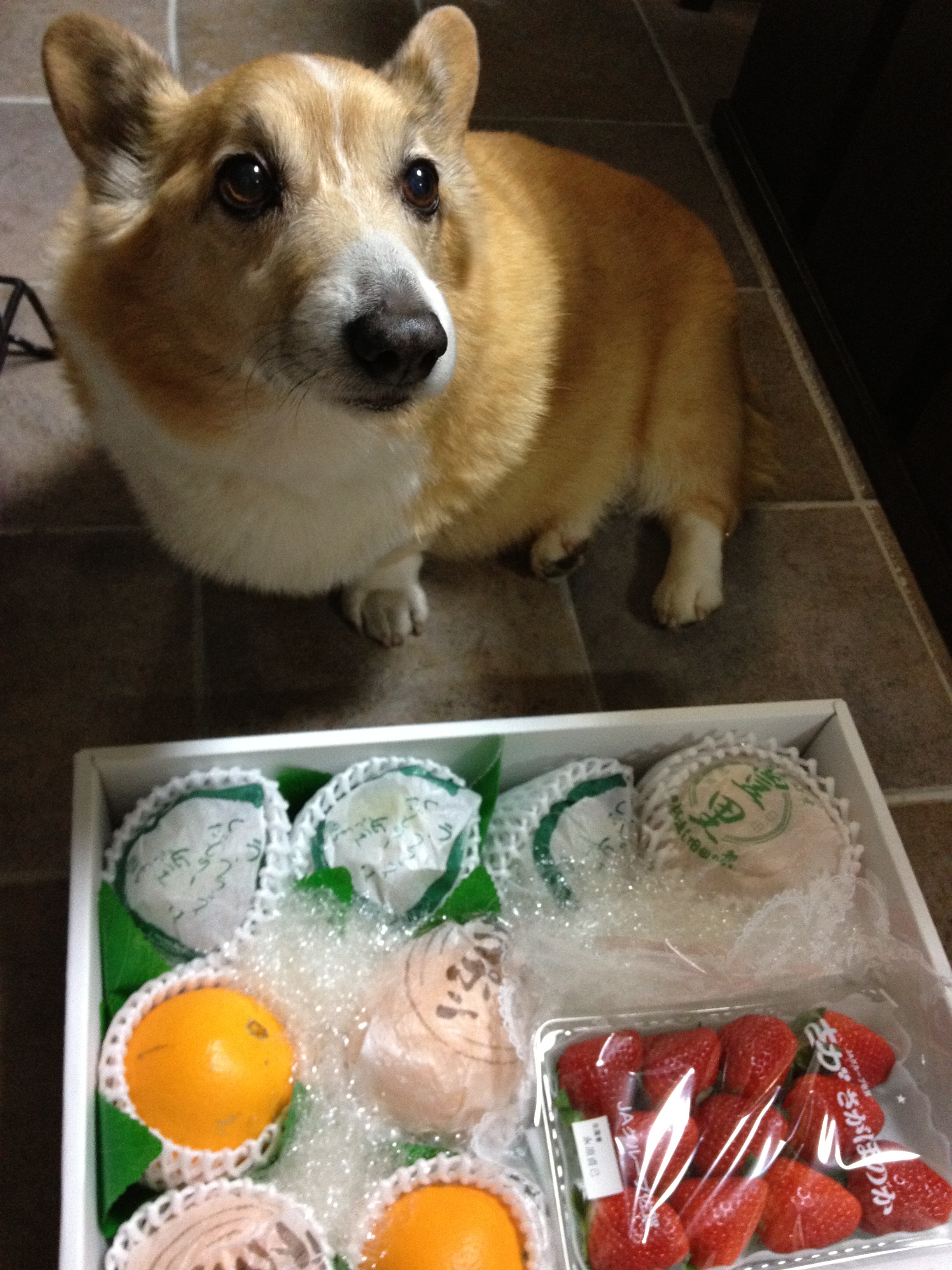 今年のウエル君はちょっと違う…